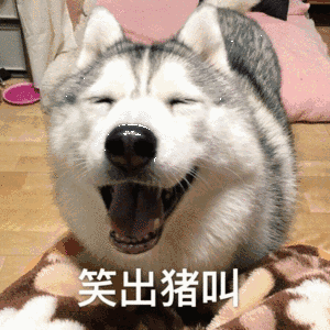 神烦狗表情包动态哈士奇