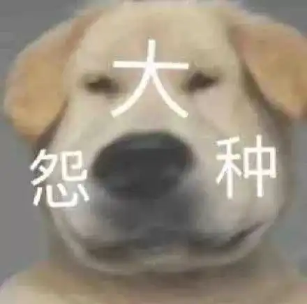  睡不着可以发的大怨种文案