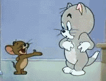 猫表情包gif素材gif