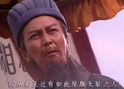  诸葛亮是否构成骂人罪司法解析