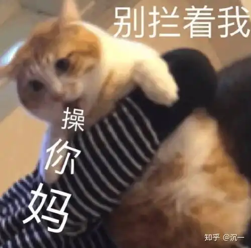  疫情结束后,你见到对象会做什么