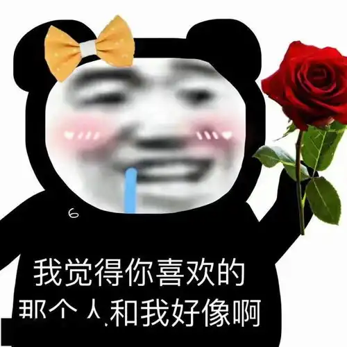  表情包