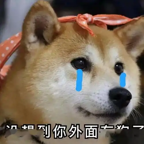  今日份表情包