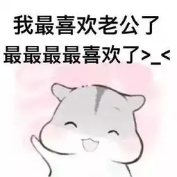  卖萌仓鼠老公表情包
