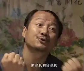  南有苏大强北有谢广坤快来国美买戴森
