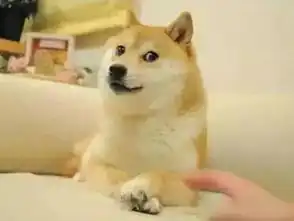  柴犬为什么叫戏精看了这些表情包你就知道了