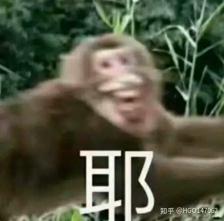 抓贼的表情包猴子