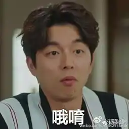  来自鬼怪家族的凝视海量表情包强势来袭