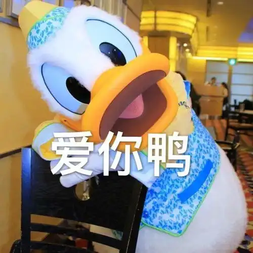  你们都夸王菲,我偏要吹吹易烊千玺