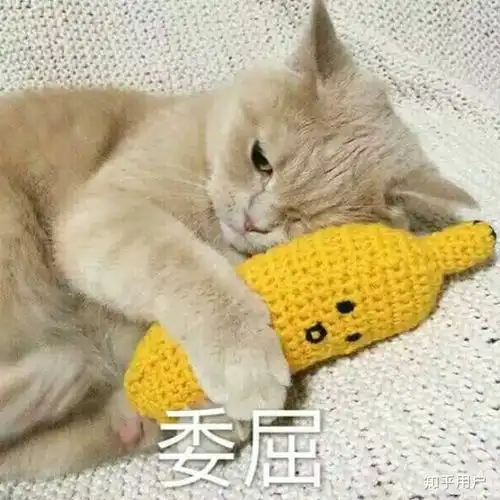 猫咪吓出双下巴表情包通
