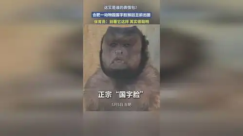 这又是谁的表情包合肥一动物园国字脸猴因丑前出圈