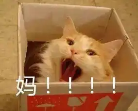  齐齐教丨一个妈妈的暑假扎心总结我太太太太太太太太难了