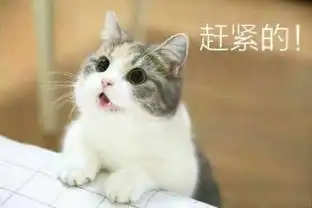 超萌的qq趣味表情包大全