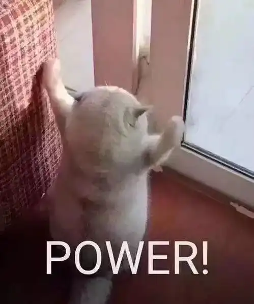  花六位数冤枉钱呕血总结的教训,教你一招手撕猖狂假货卖家
