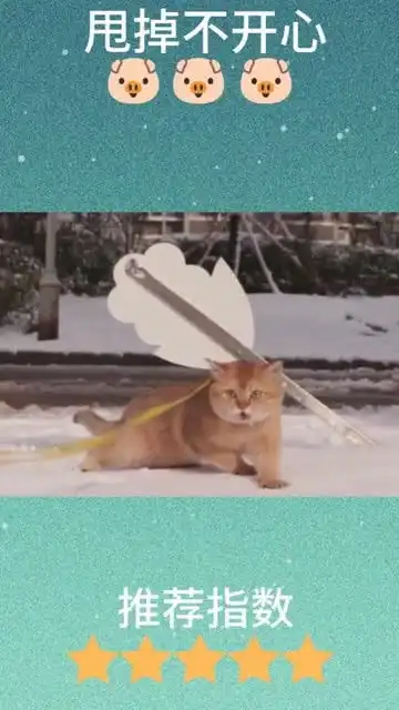  第一次见到雪的喵星人,瞬间开启咆哮模式,抱着主人不撒手