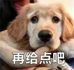 表情包月底没钱了,行行好吧