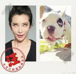  李冰冰模仿狗狗表情翻白眼吐舌头神还原组图