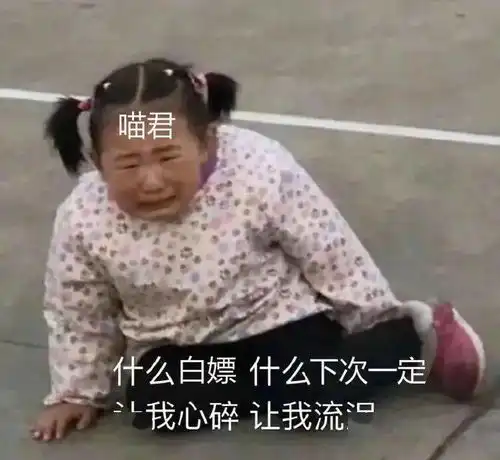  猫用屁股对着我,真的要舔一下吗