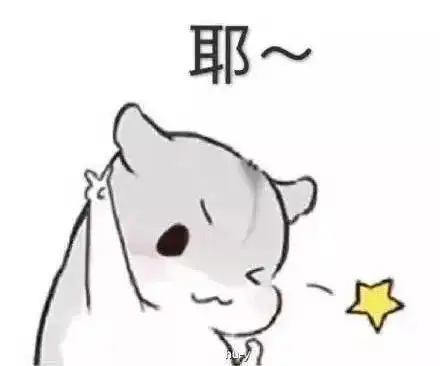 仰卧起坐亲亲表情包亲亲