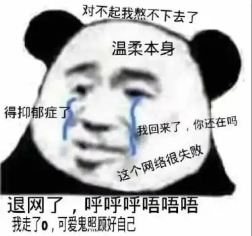 表情包,查看了