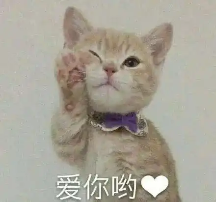  警嫂凡尔赛吐槽有着老天爷赏饭吃的颜值,能抓贼,能带娃