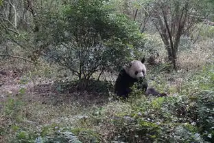  30岁我在川渝给自己说生日快乐
