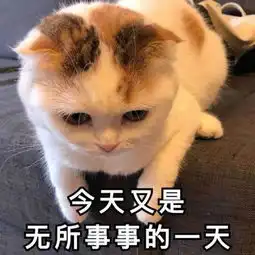  欢笑集锦兄弟,你至少还能说话
