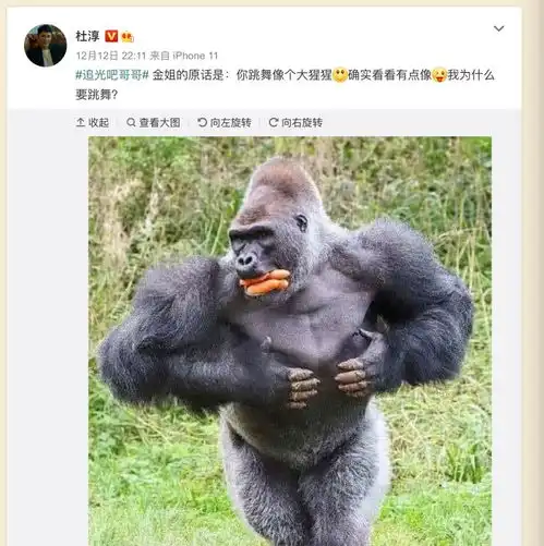  追光吧哥哥,这档节目,应该叫去油吧大爷