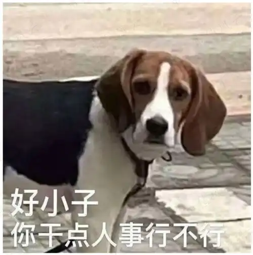 强壮狗子表情包