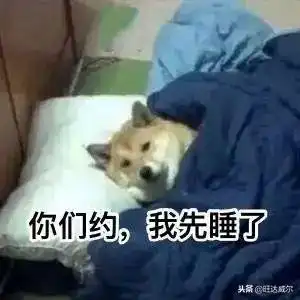  养狗之后,你是不是骗爸妈讲狗粮只要3块钱1斤