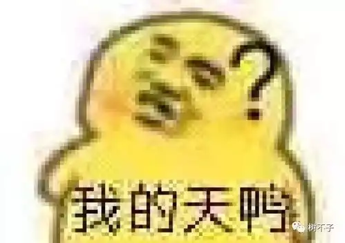 感情修复表情包下水裤