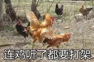  一儿媳离婚要分割房产,竟被婆婆挂上黑名单
