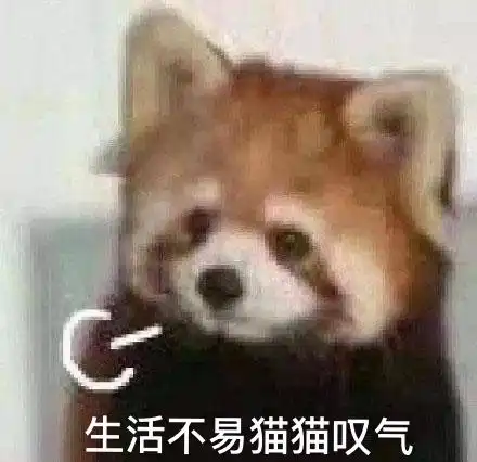  有人在看格调吗