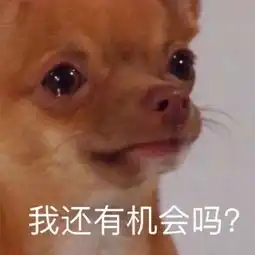  卓立教育想要报考公务员,哪些自考专业机会更多呢