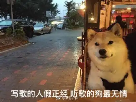  柴犬小黄狗表情包