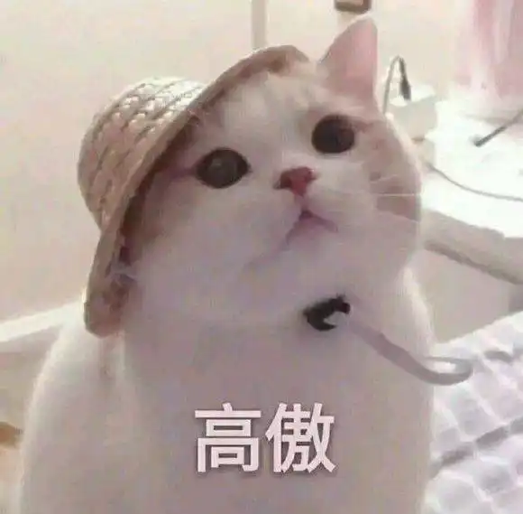  高傲微信恶搞斗图表情包金馆长表情包