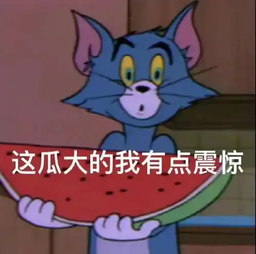  表情包,你如星河如朝露