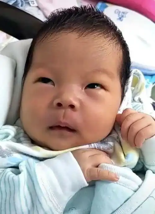  新生宝宝表情火了,对父母展现嫌弃小眼神,这辈子咋又到你家了