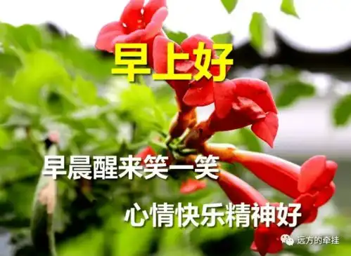 早上好表情包,愿你平安,快乐,健康,祝我在乎的朋友们祝福阳光好运