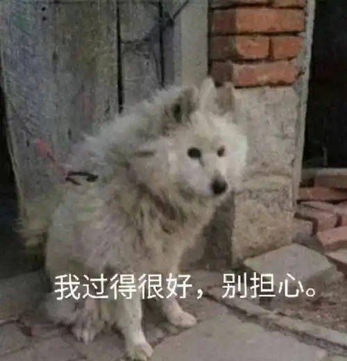  倔强穷人的必备文案