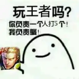 贴吧搞笑表情包王者荣耀