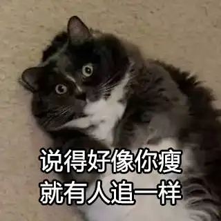 胖猫图片点外卖表情包