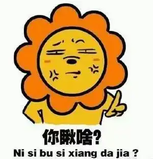  东北人你可真是任性到飞起来