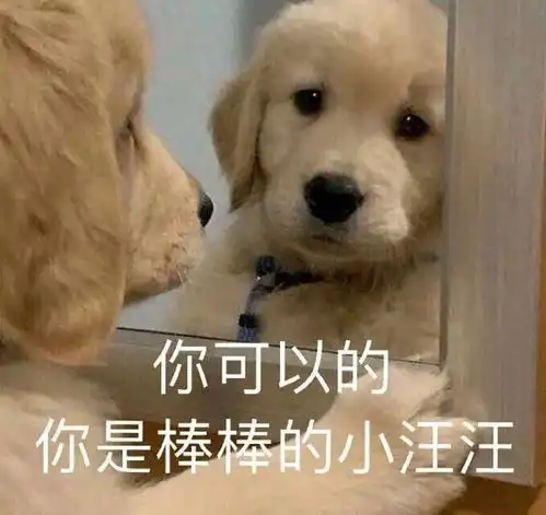  能不能讲讲你的恋爱经历
