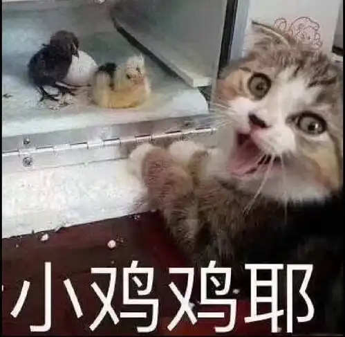  像素地牢boss简介及个人向攻略一