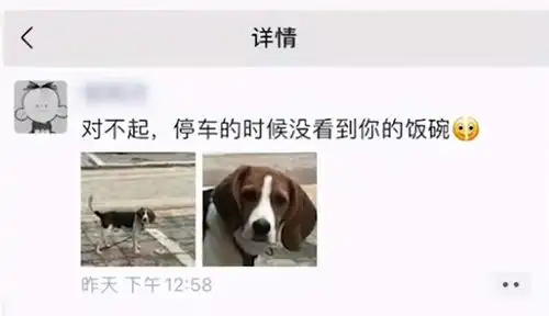  饭盆被主人压扁,狗狗都要委屈哭了你看你干的好事