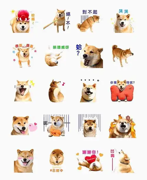  征集参赛汪千元卖萌礼送给你家主子