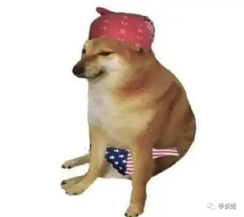  世界上最棒的表情包小狗cheems离开了
