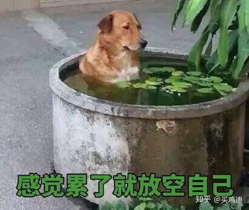  笑出猪叫腾讯也有被坑的一天