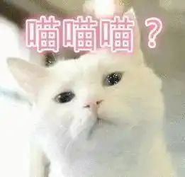 暴走表情包大全喵喵喵